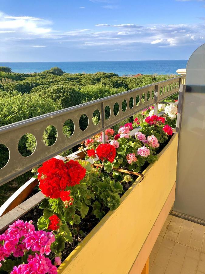 Caravel Hotel